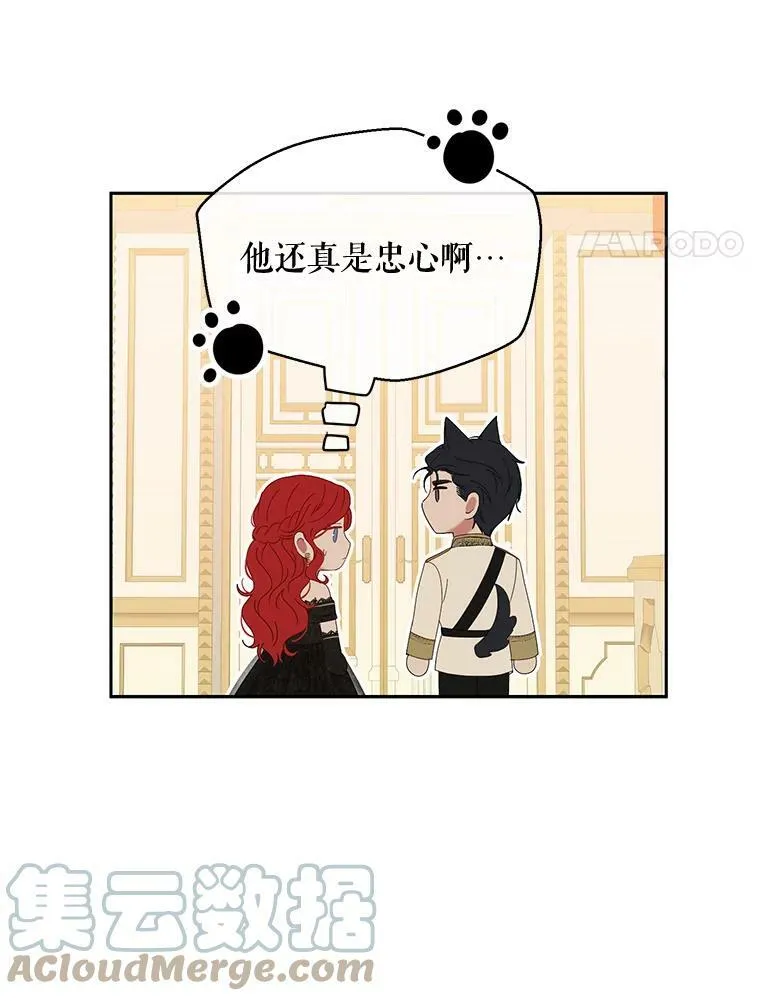 47.密见卡兰特3