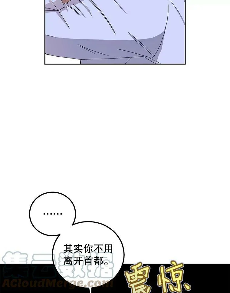 29.史格的去向3