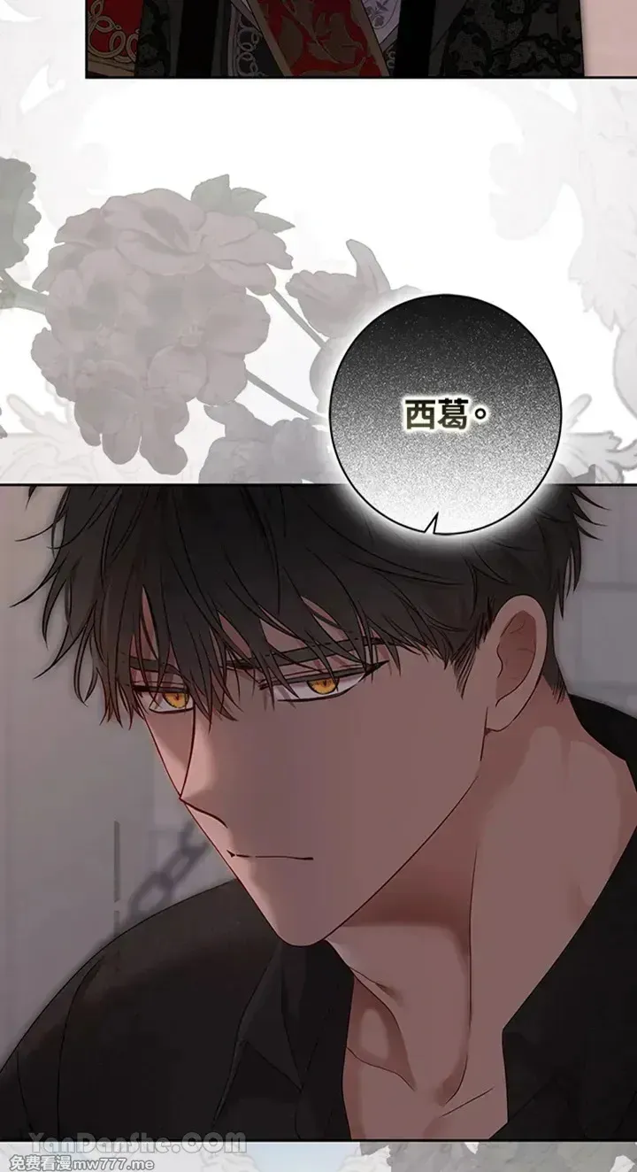 第115话1
