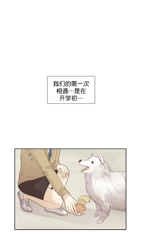 [第196话] 愿望终究会实现 (仙智视角）2