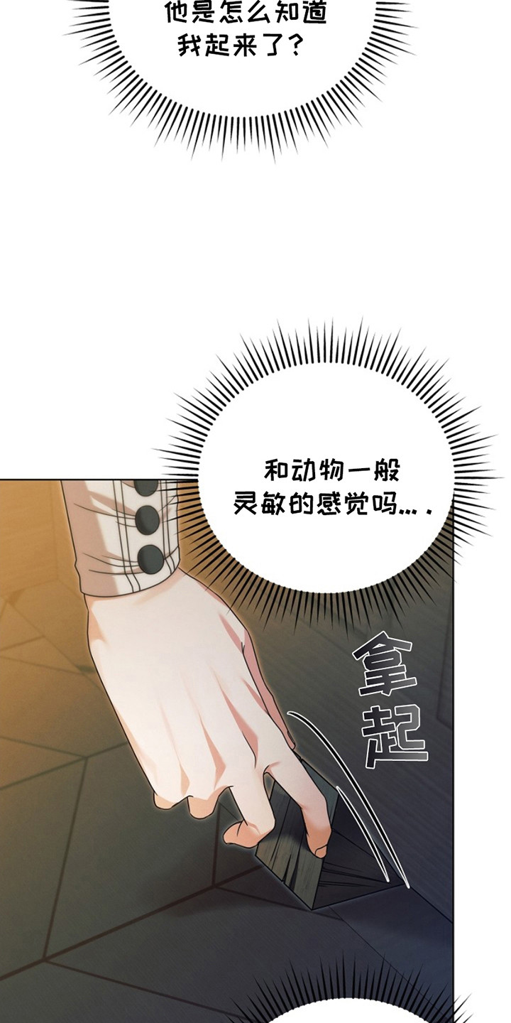 第11话1