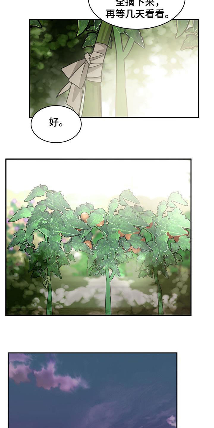 第136章：【第二季】石头1