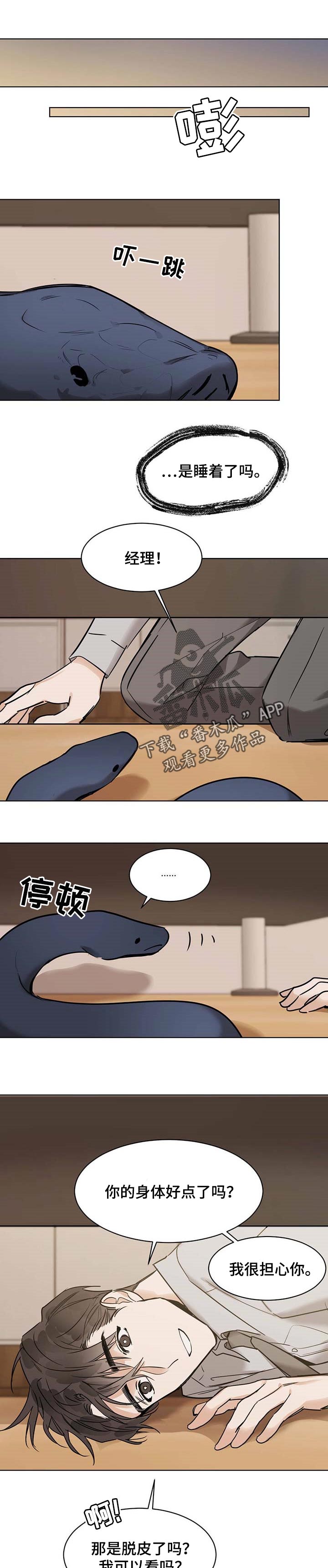 第41章：脱皮0