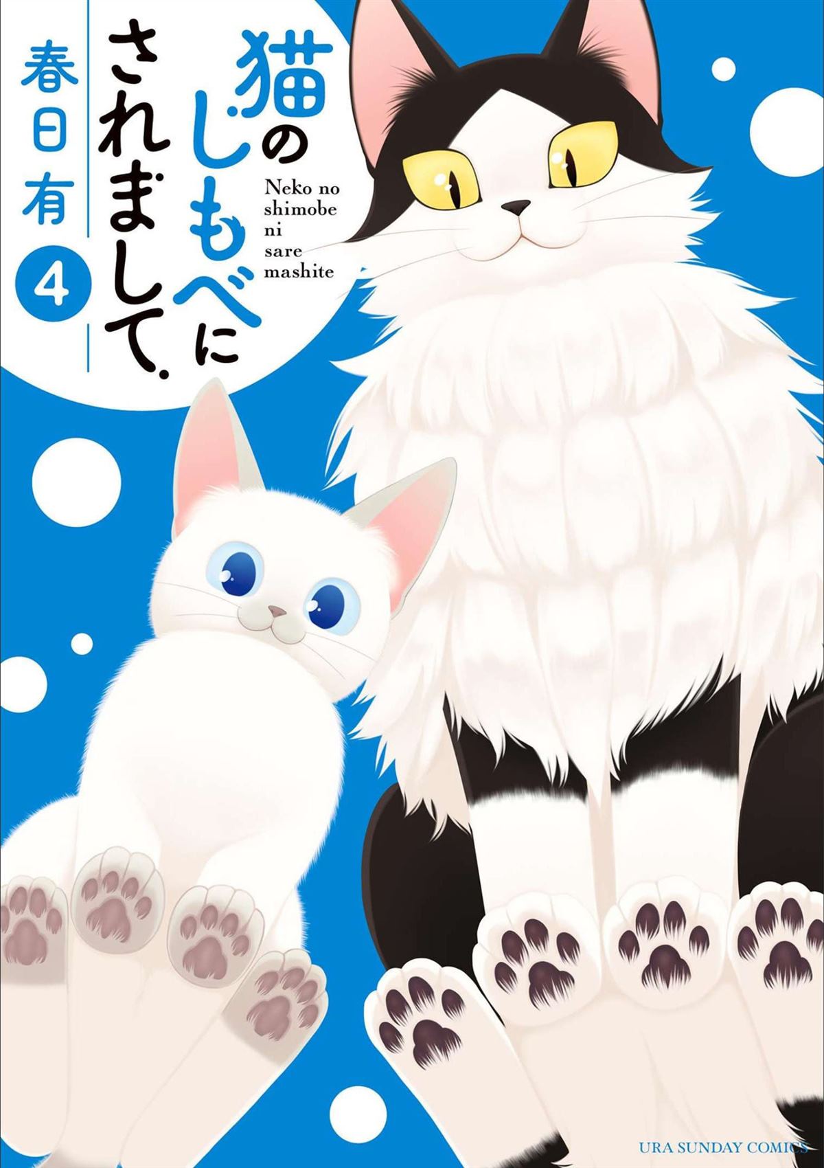 第24话 小猫和努格0