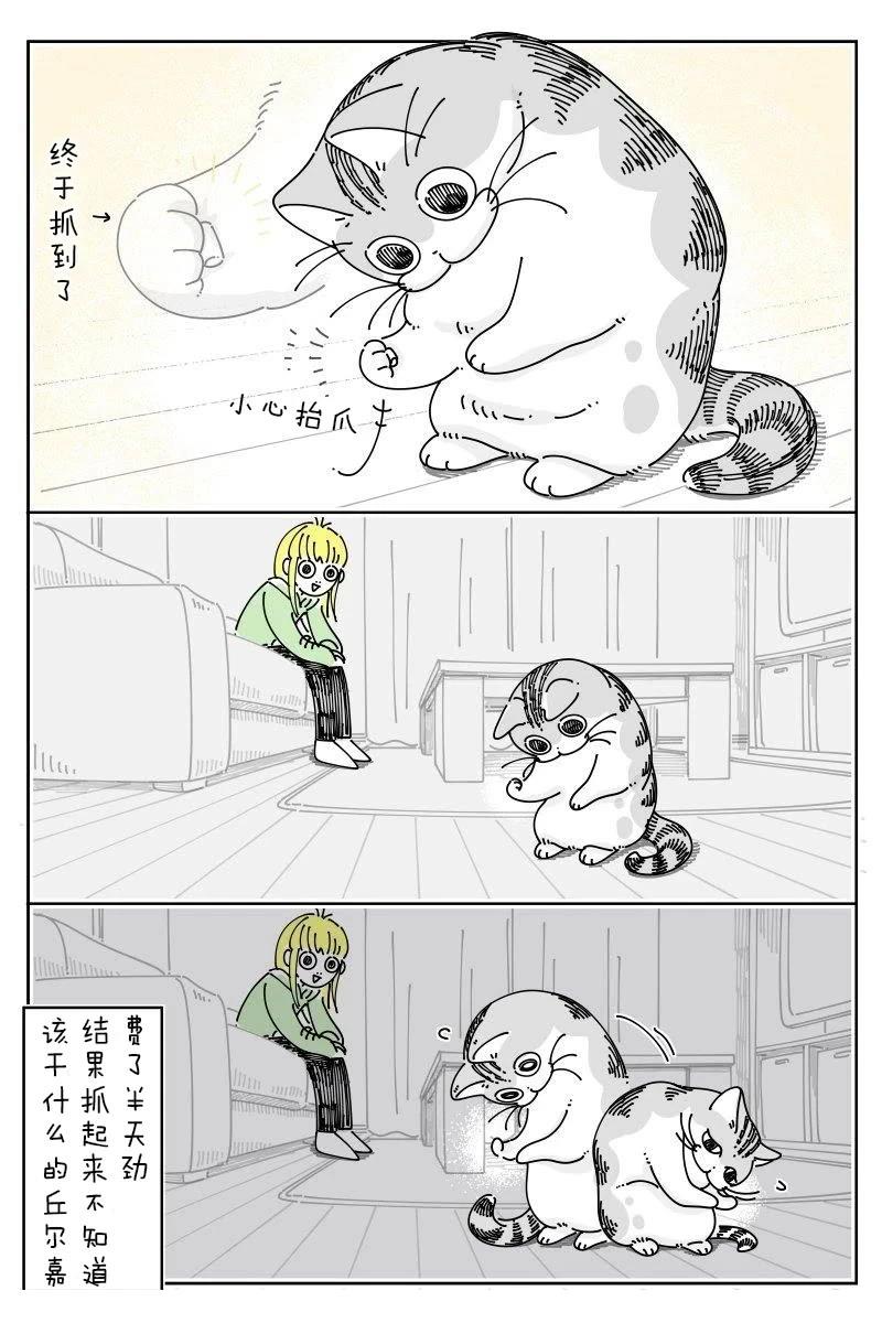 第219话0