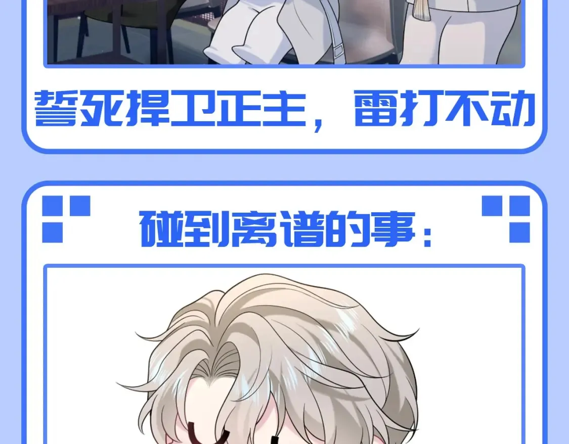第46期 特别企划：走实用系路线的阳阳4