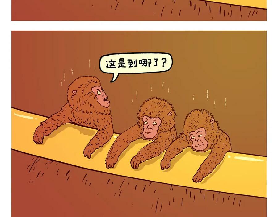 第433话 猴毛的抱怨1