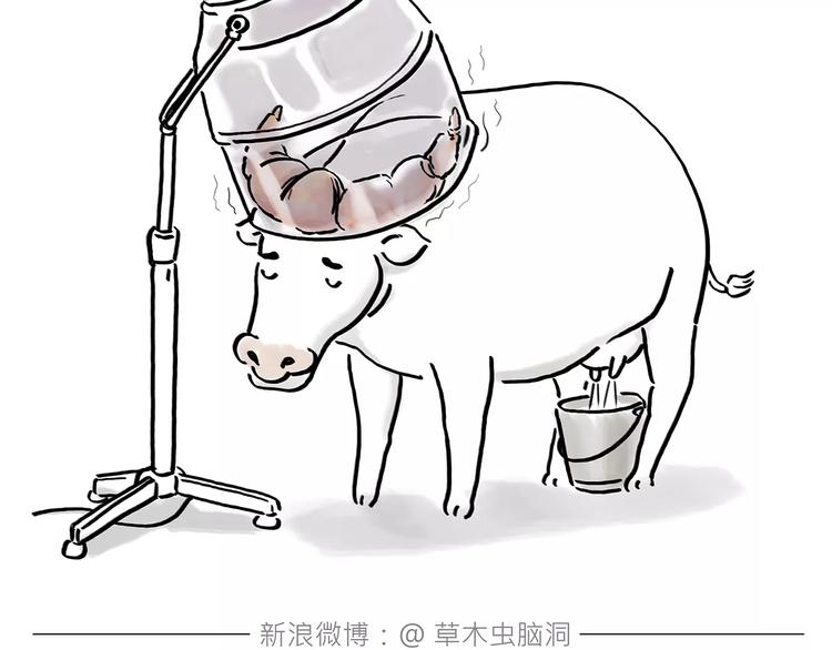 第165话 暖暖的熊4