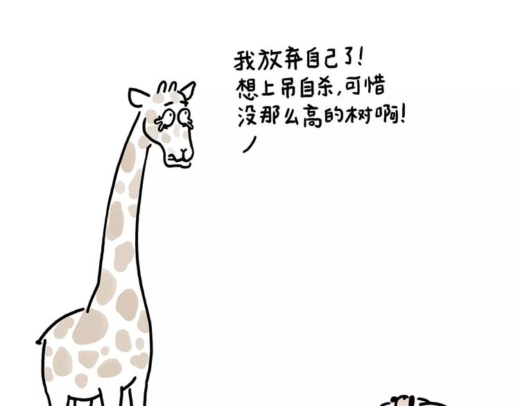 房租4