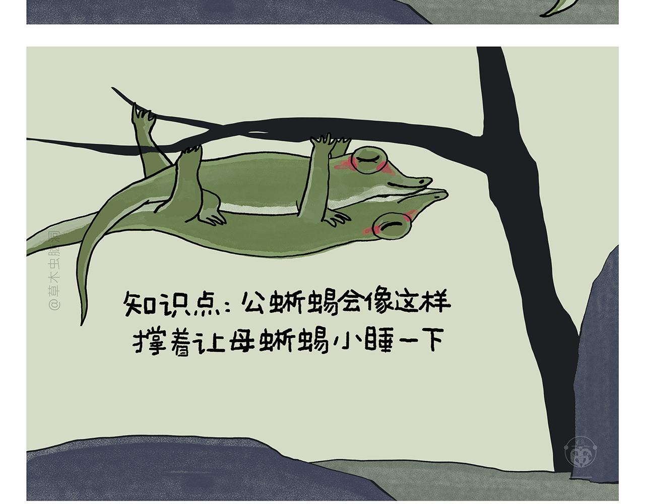 第394话 一路跟拍4