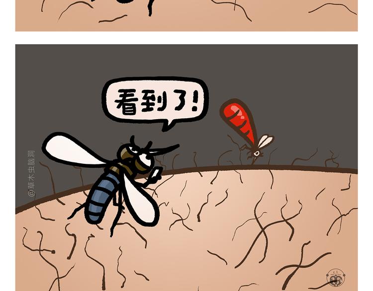 第292话 烛光晚餐3