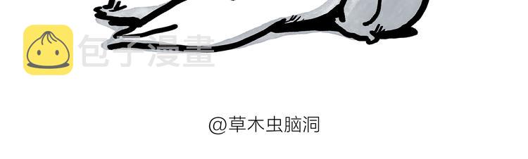 第187话 骆驼相亲4