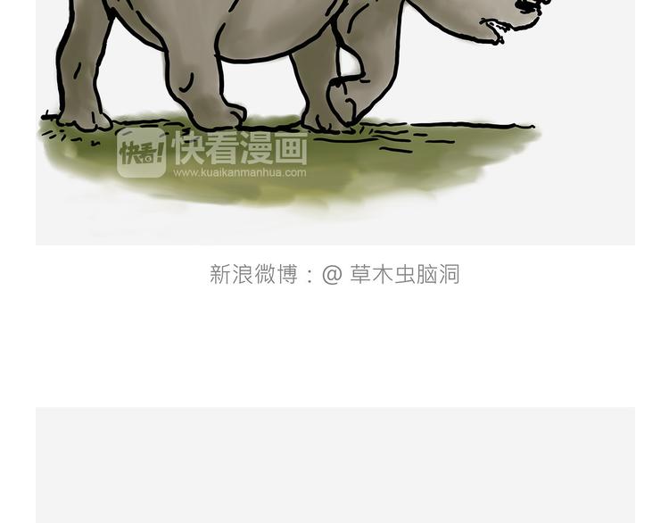 测速抓拍3