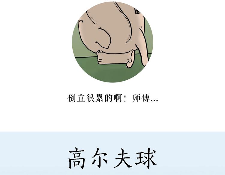 高尔夫球1