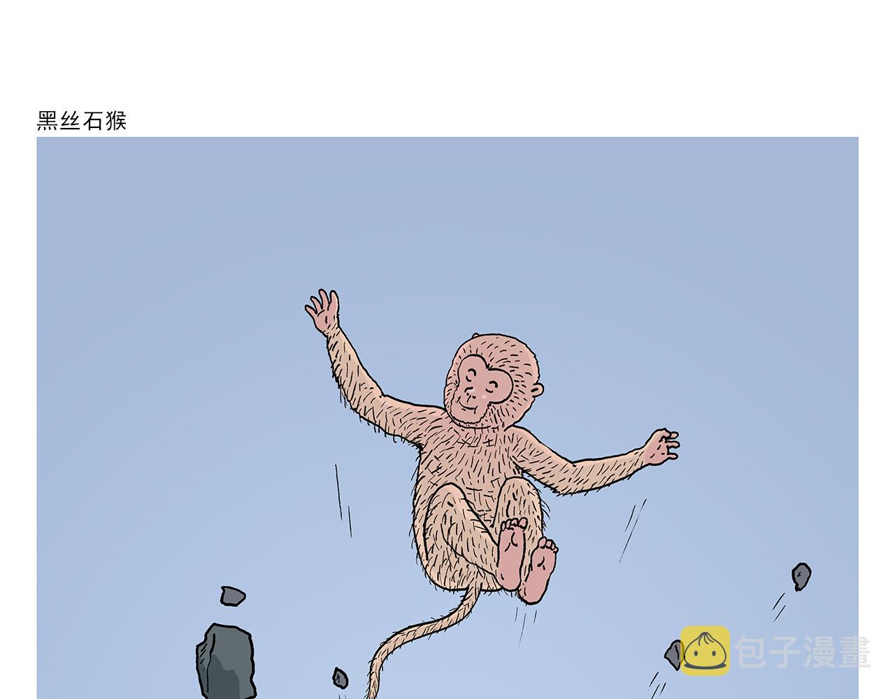 第403话 黑丝石猴0