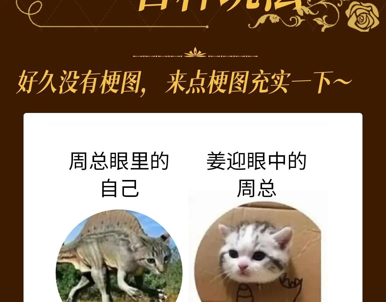第13期 特别企划：周总梗图的一百种玩法2
