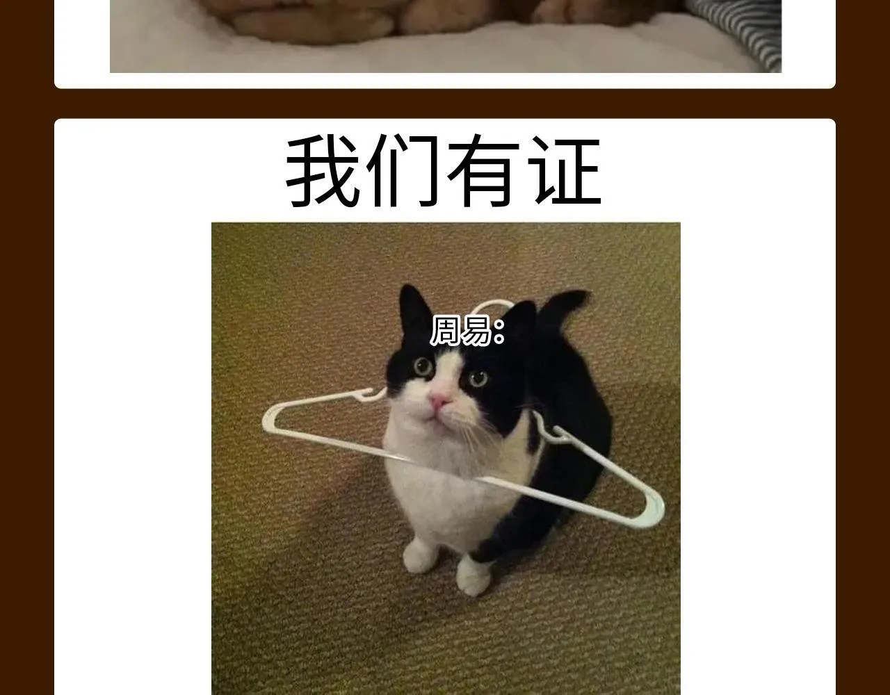 第13期 特别企划：周总梗图的一百种玩法4