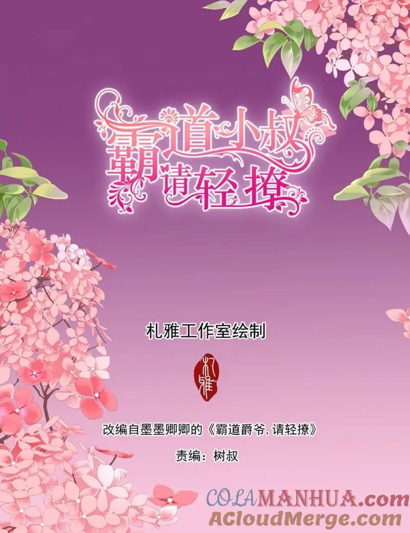 嫁给七叔叔2