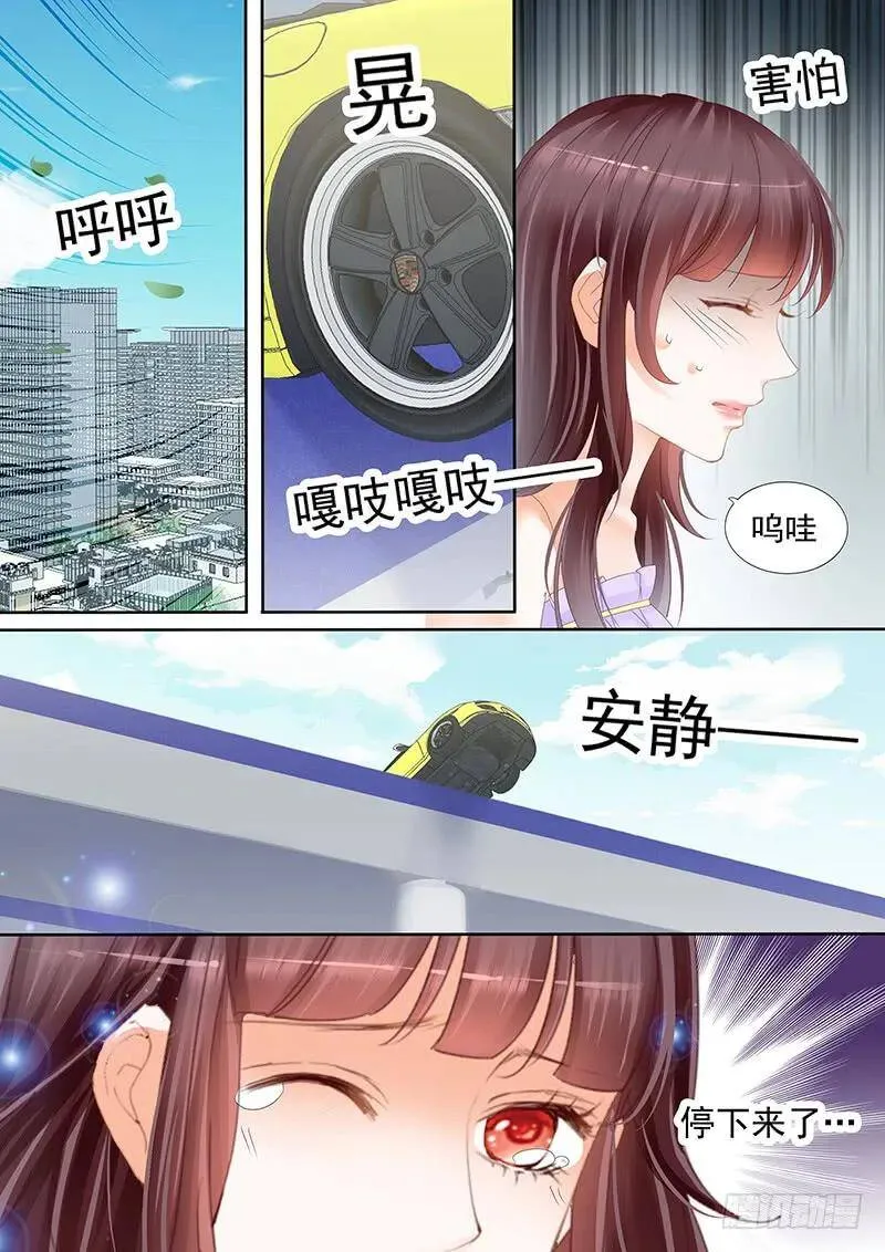 以后再也不许开车了4