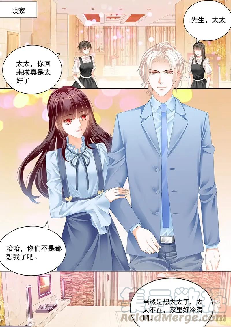 总统要结婚2