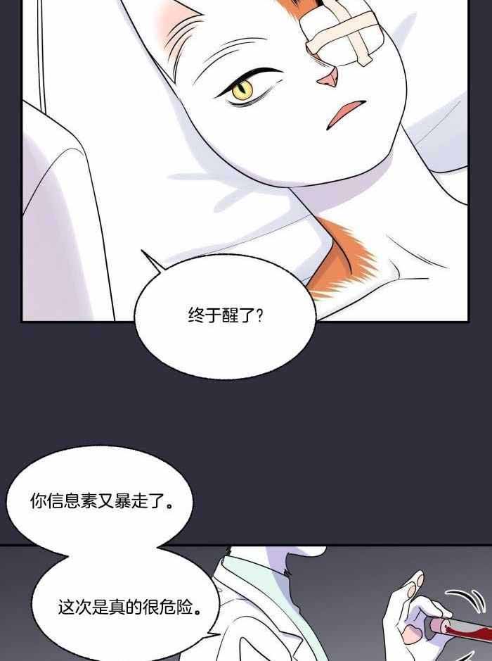 第55话4