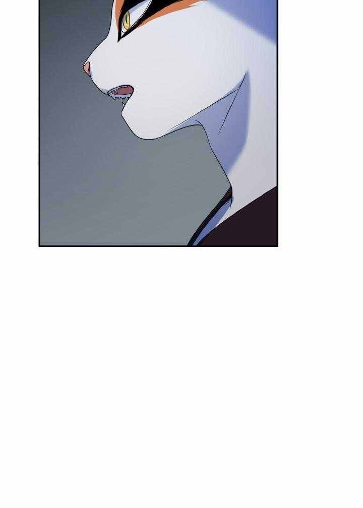 第38话0