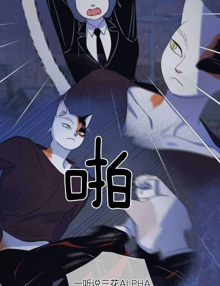 第42话0