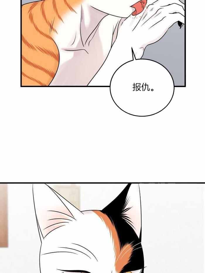 第99话1