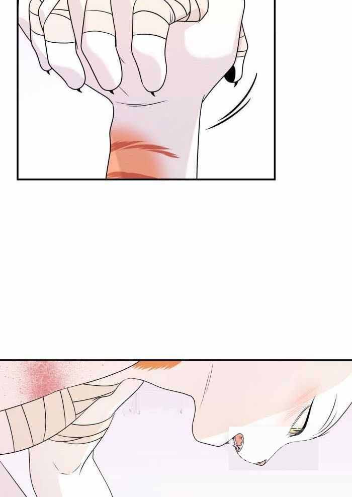 第49话0