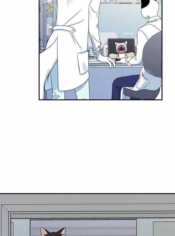 第62话4