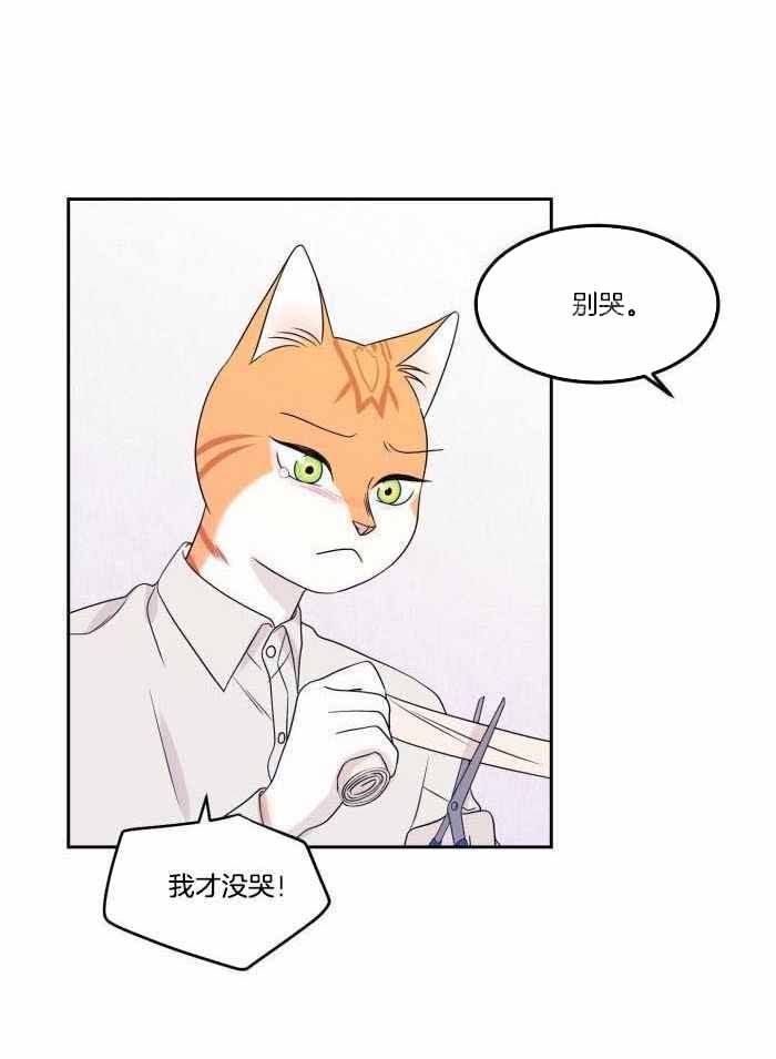 第48话1