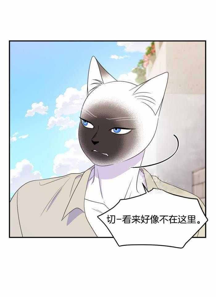 第60话0