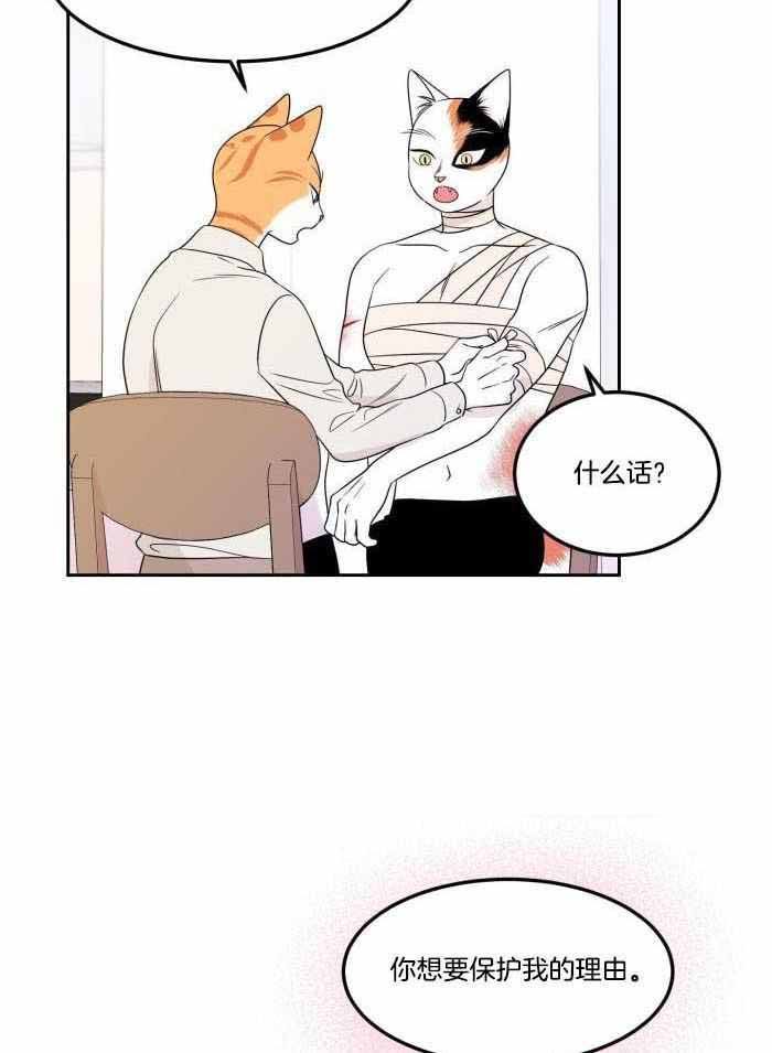 第48话3