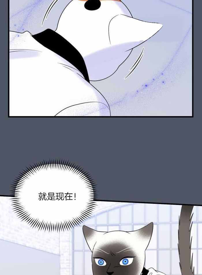 第80话4