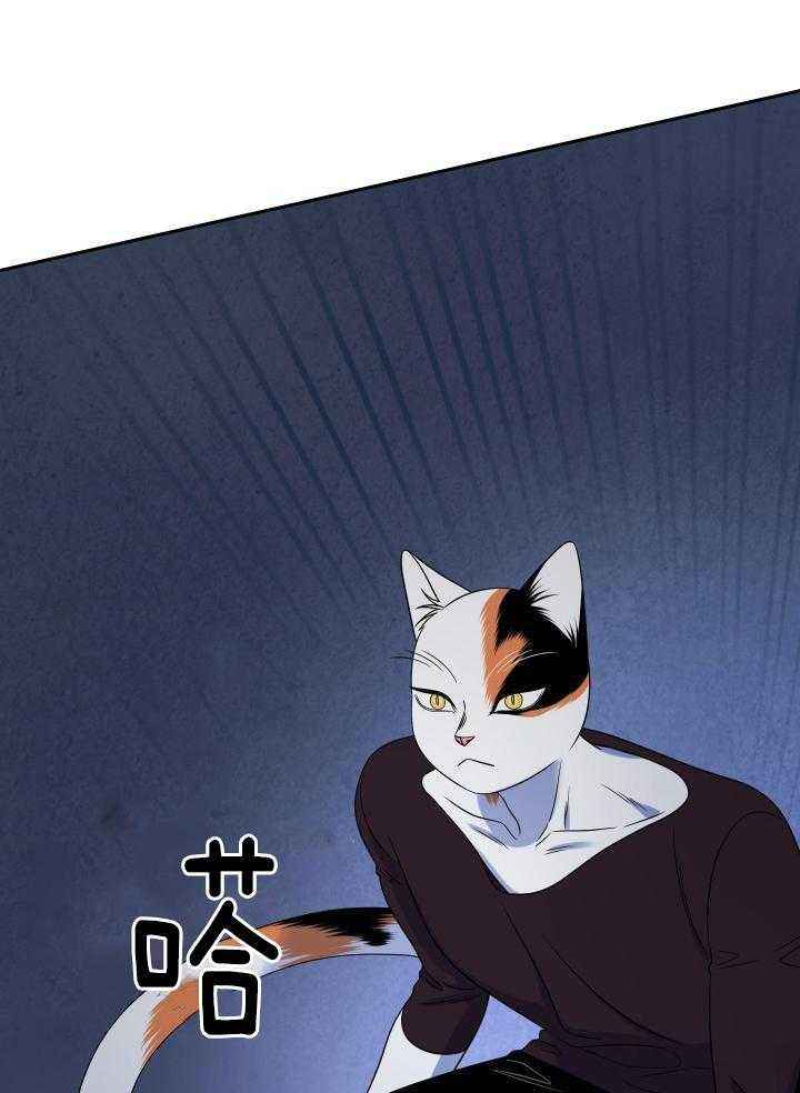 第40话2