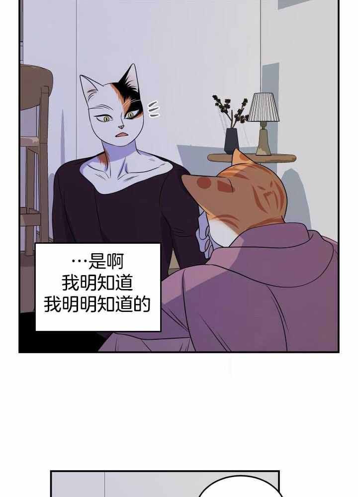 第31话0