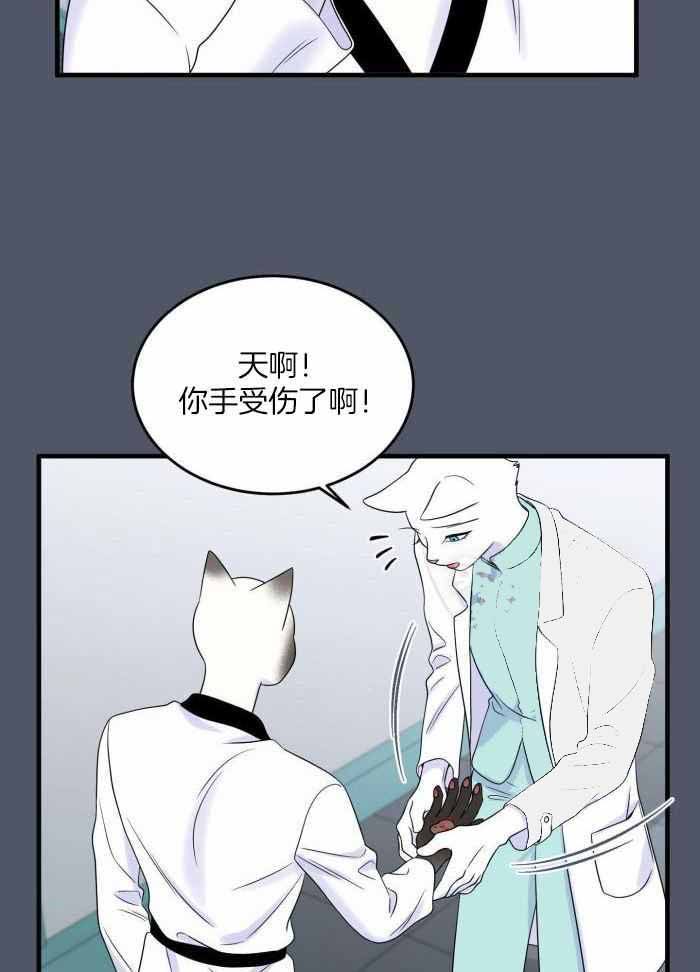 第82话0