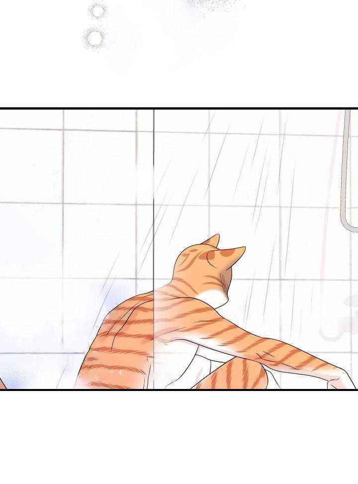 第33话0