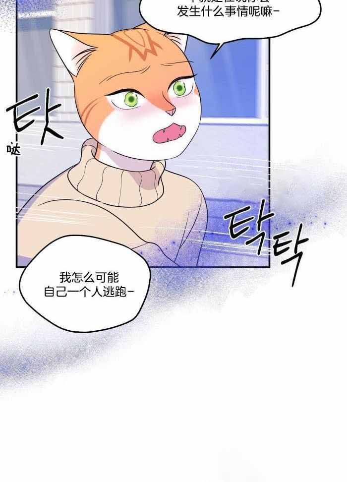 第52话0