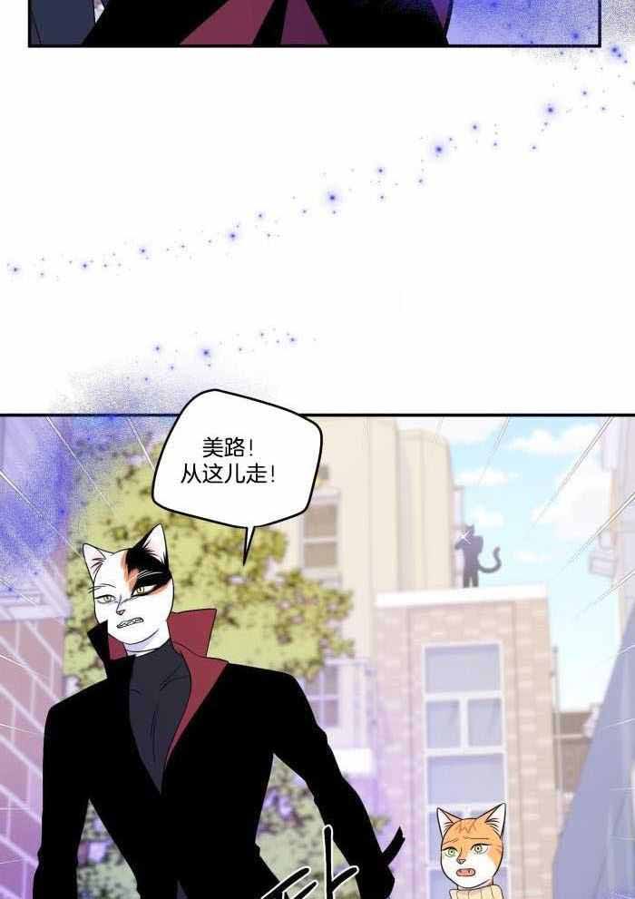 第51话0