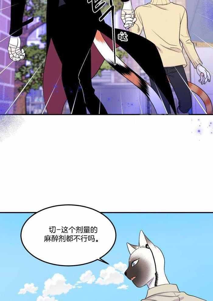 第51话1