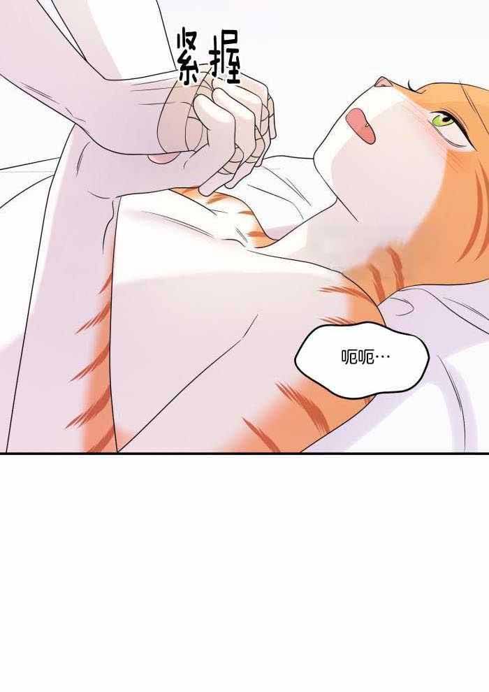 第49话1