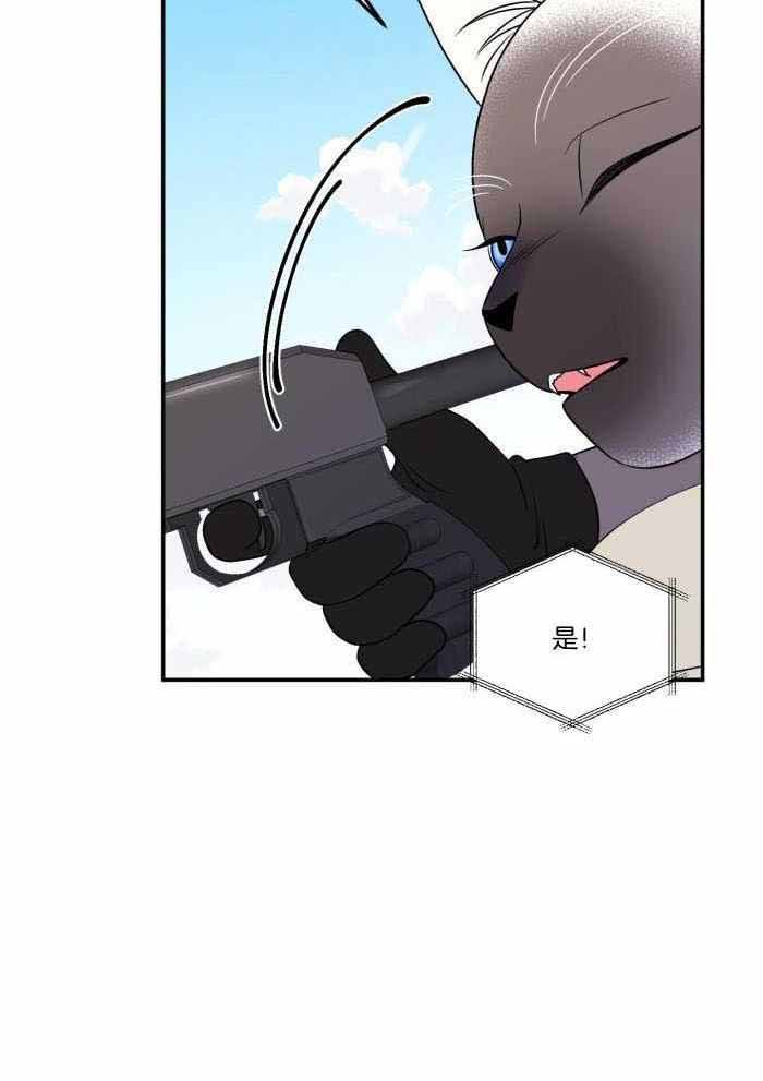 第51话3
