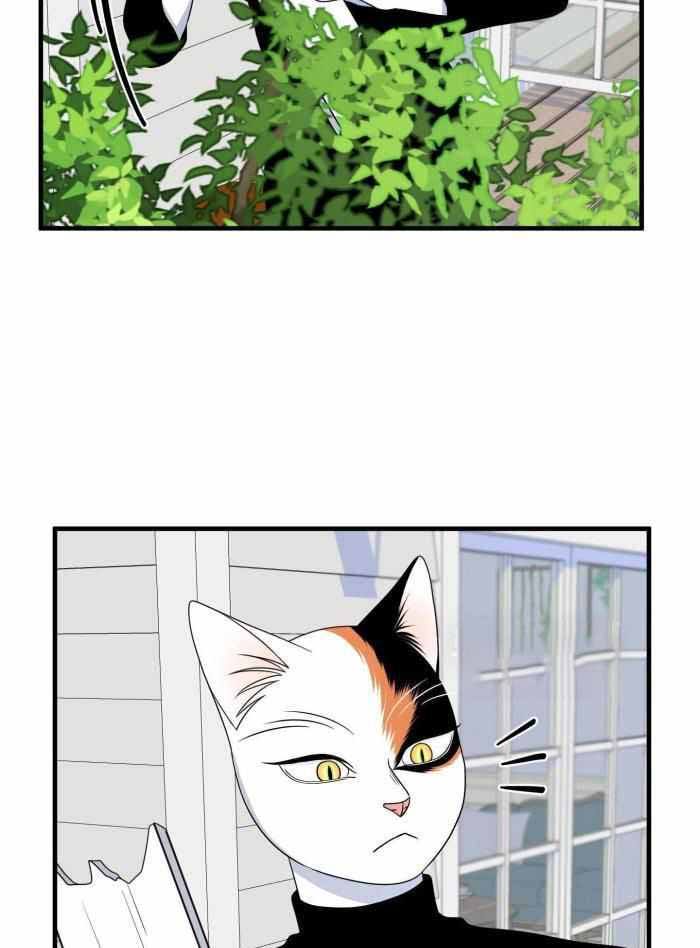 第97话1