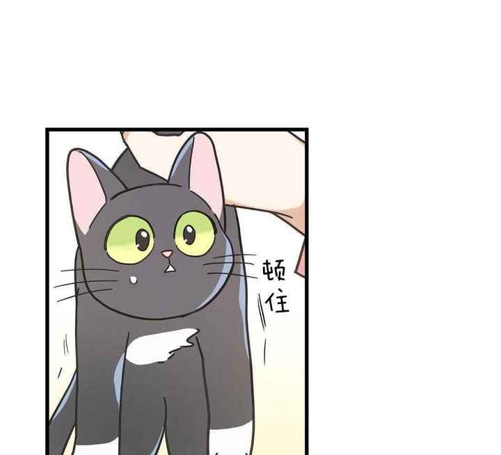 第39话3