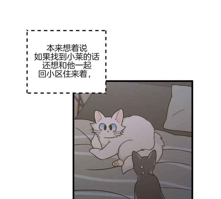 第42话0