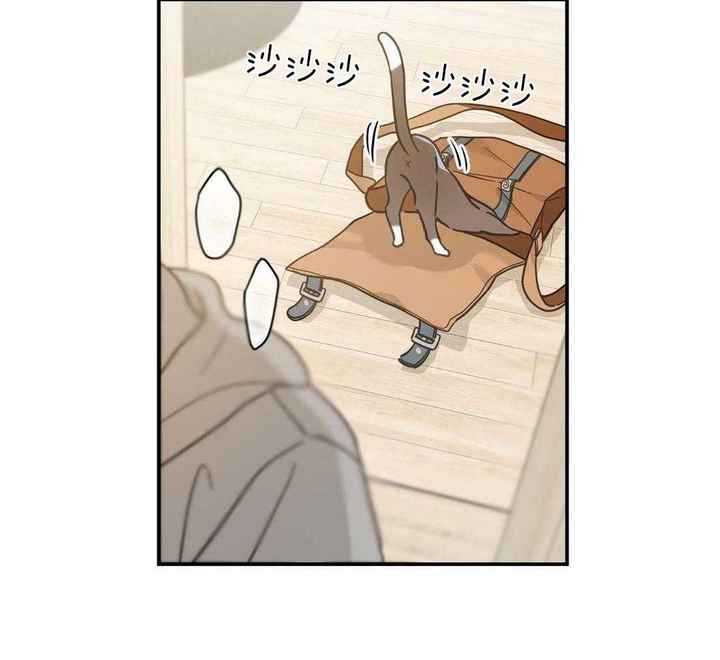 第48话1