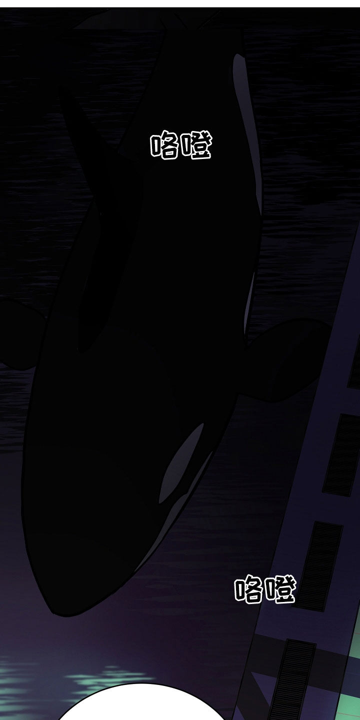 第35话0