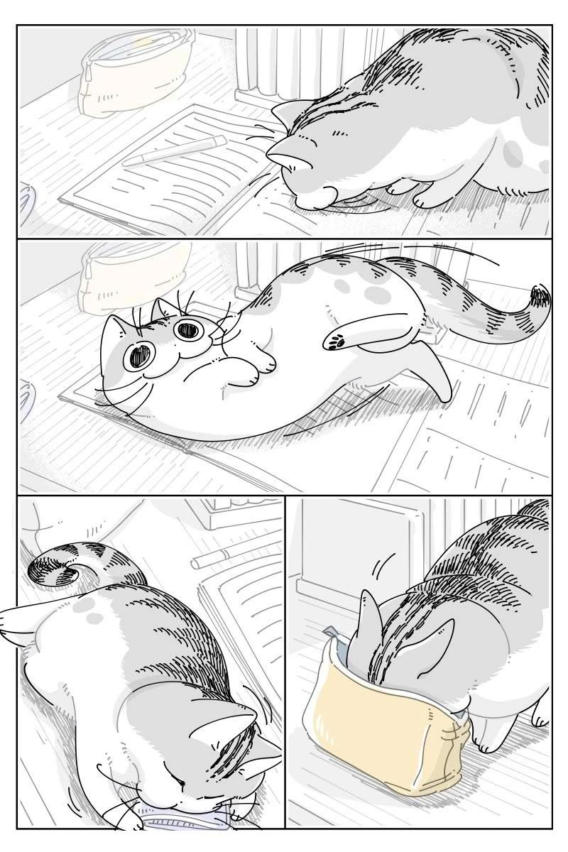第236话3