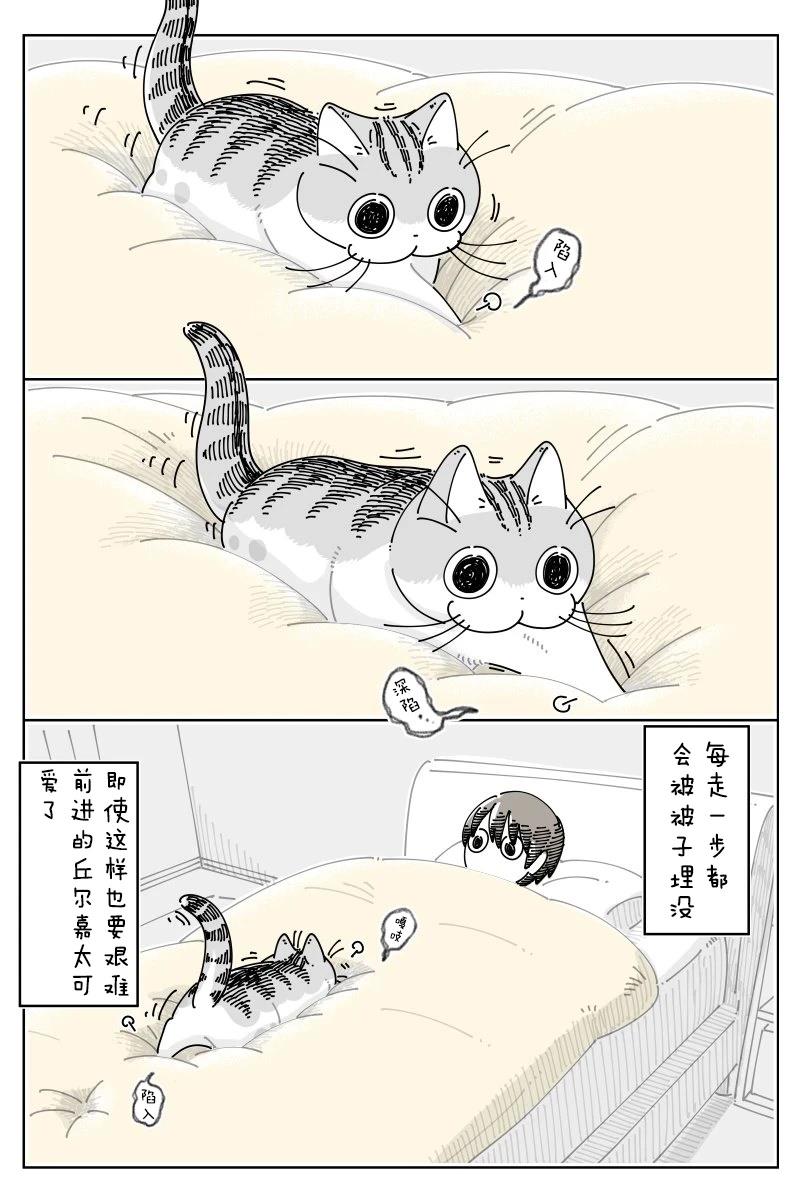 第248话1